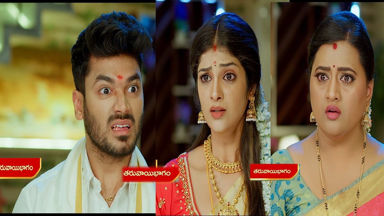 మల్లి జీవితంలో ఉహించని పెద్ద ట్విస్ట్ పూర్తిగా కథ మొత్తం తారుమారు