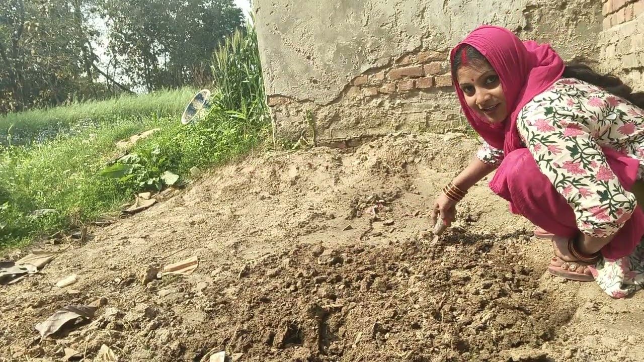 #आज#मै खेत#में क्या #बैठा रही #हु 