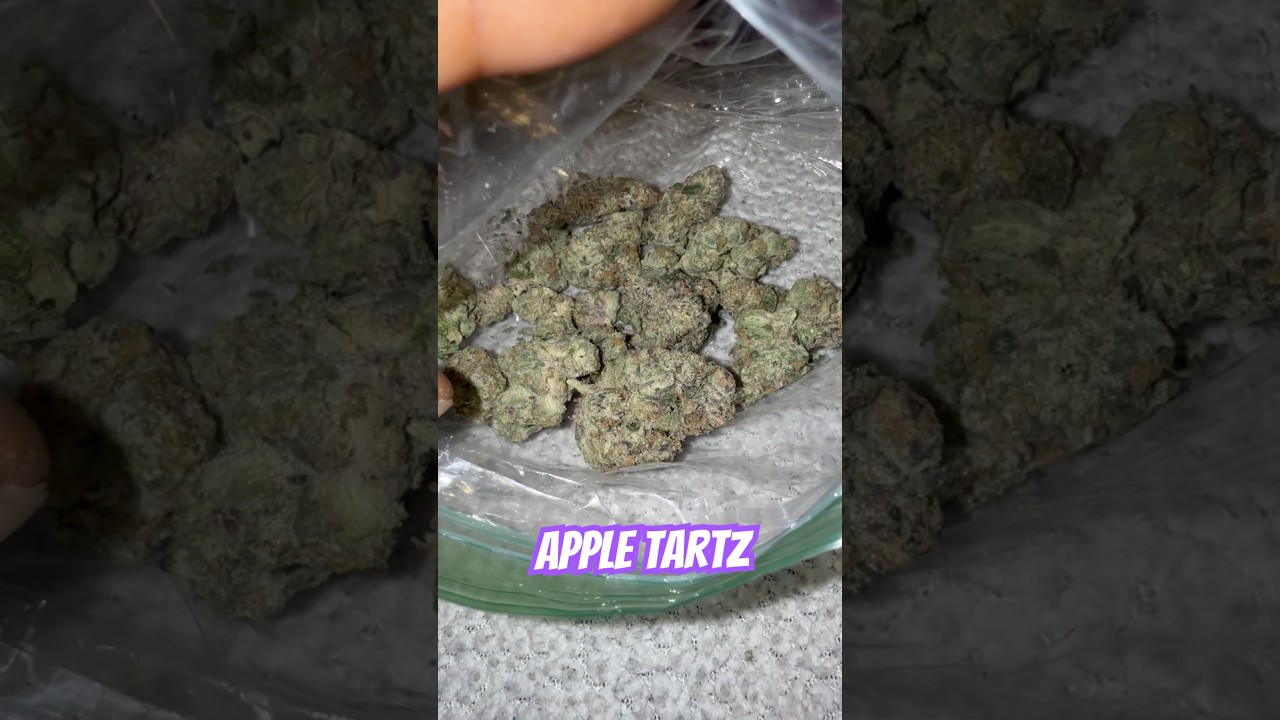 Apple Tartz Strain Review