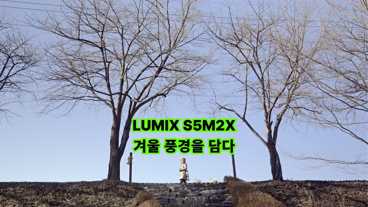겨울을 담으니, 봄이 기대 되고, 봄을 기다리니 겨울이 아쉽구나. #루믹스 #s5m2x