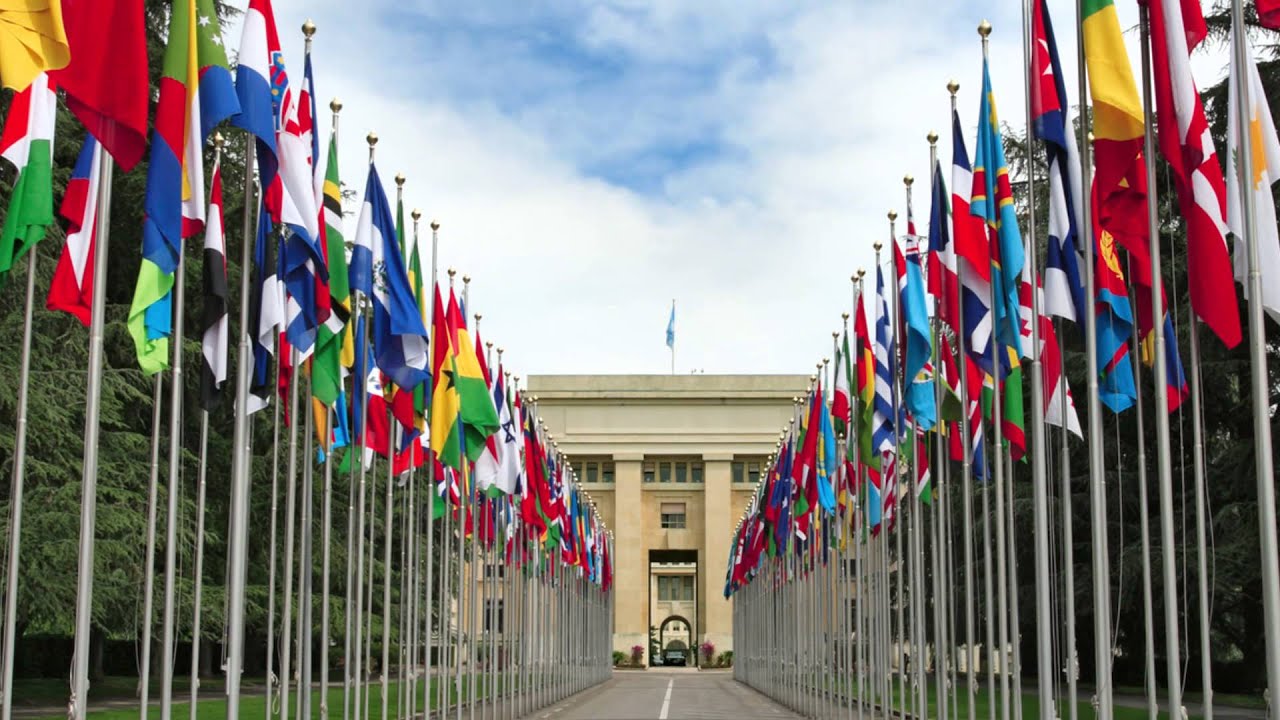 International Organizations, Law and Diplomacy - Program Highlight