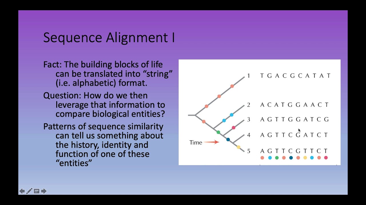 Bioinformatics Lecture 9: Pairwise Sequence Alignment