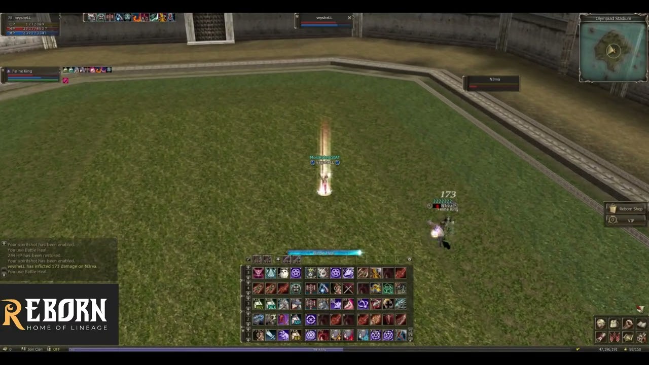 L2 REBORN 10x   ARCANA LORD OLYMPİAD 3   veysheLL POV