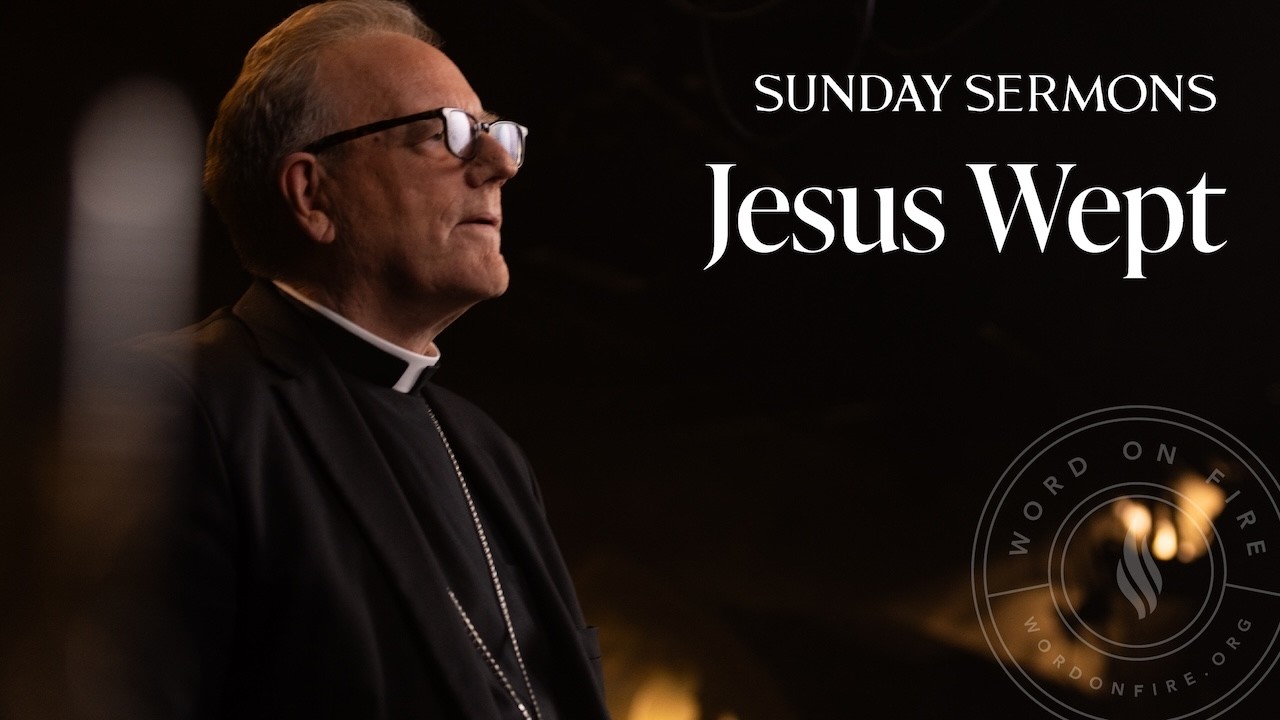 Jesus Wept - Bishop Barron's Sunday Sermon