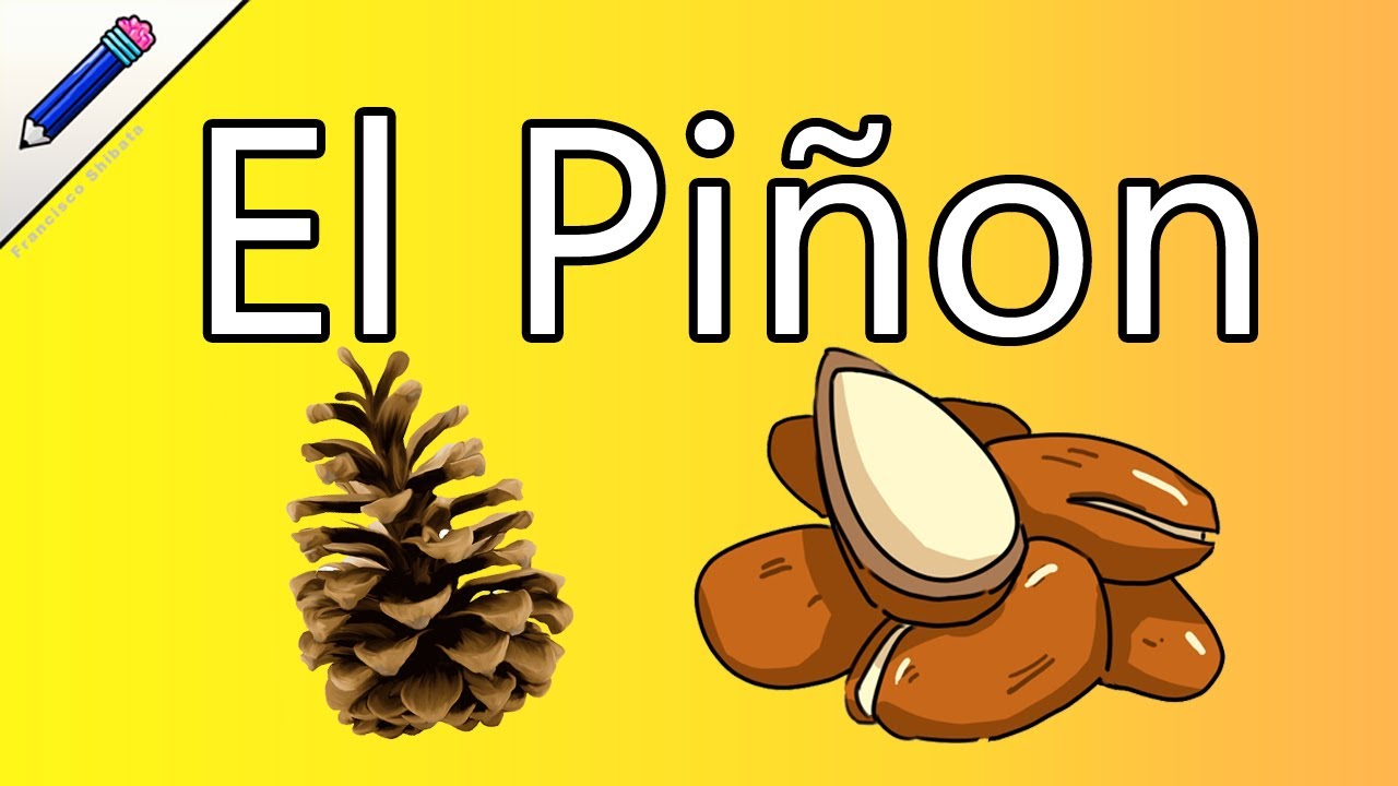 Propiedades medicinales del Pi&ntilde;&oacute;n fruto del pino