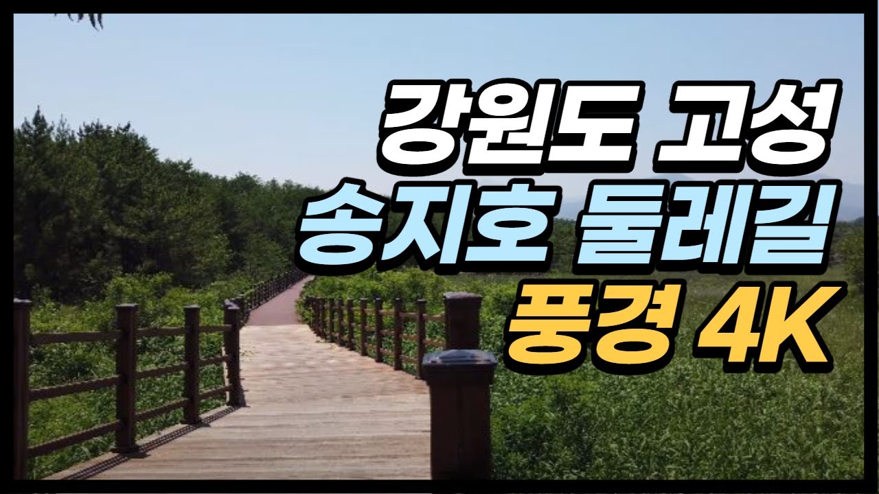 【풍경tv】강원도 고성 송지호 둘레길 4k 풍경