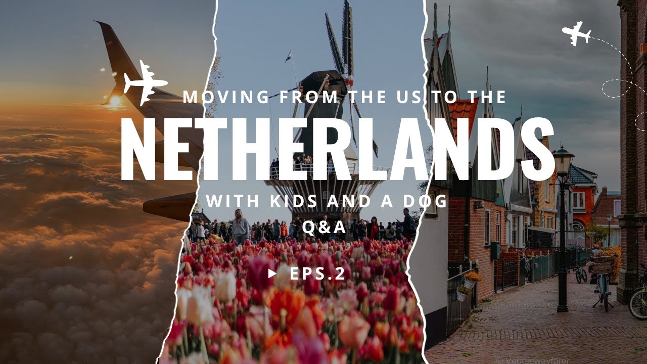 Moving to the Netherlands with kids and a dog Q&A