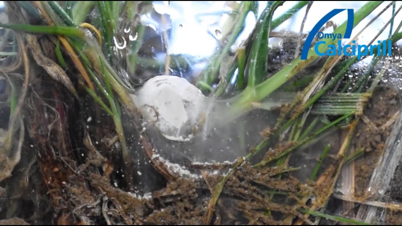 Calciprill soil penetration