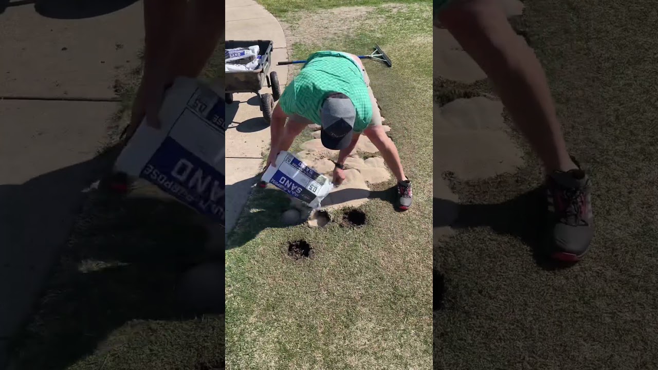 Filling Lawn Holes with Sand