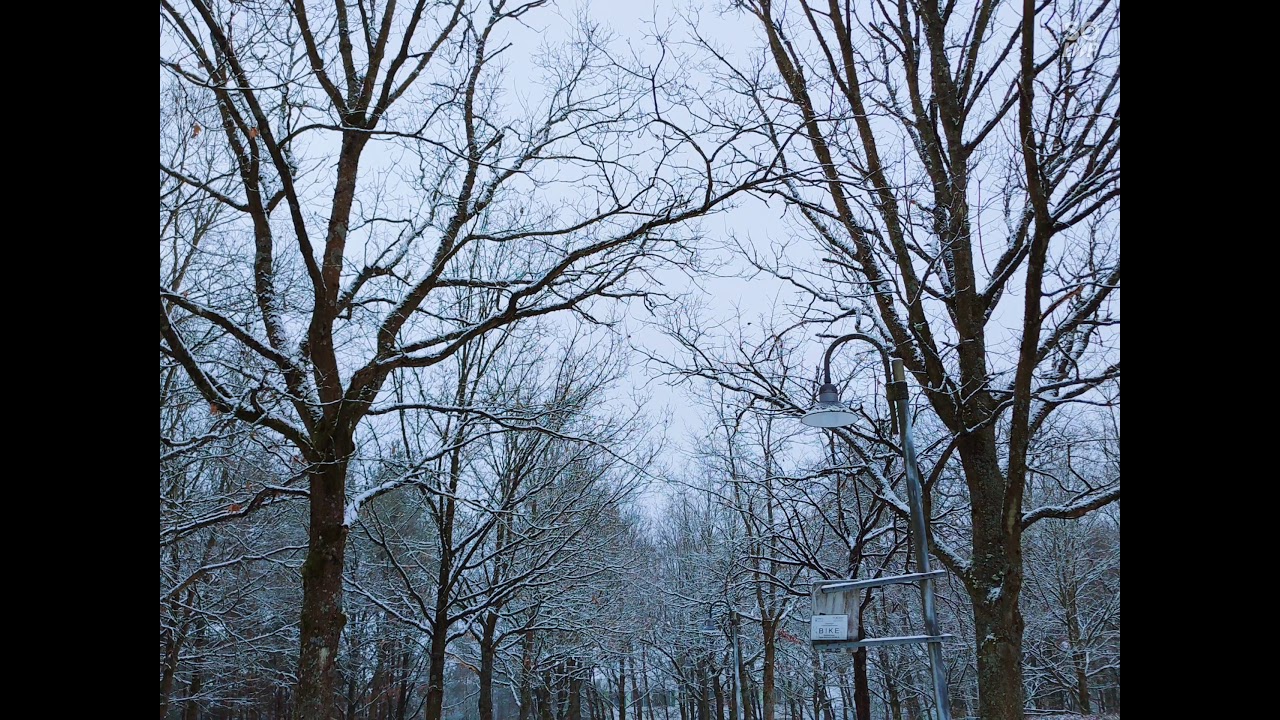 Marburg (Germany) Winter Photos | University town | Hesse