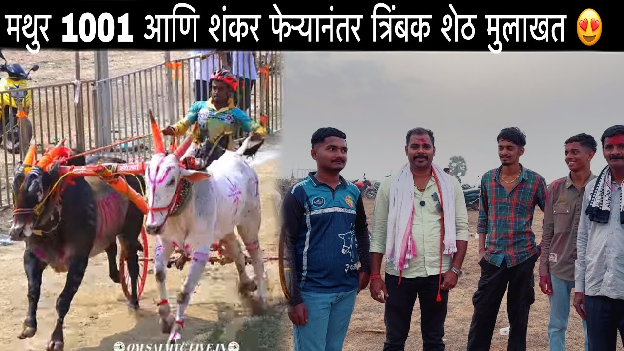 मथुर 1001 आणि तिसगावचा शंकर फेऱ्यानंतर त्रिंबक शेठ मुलाखत 😍