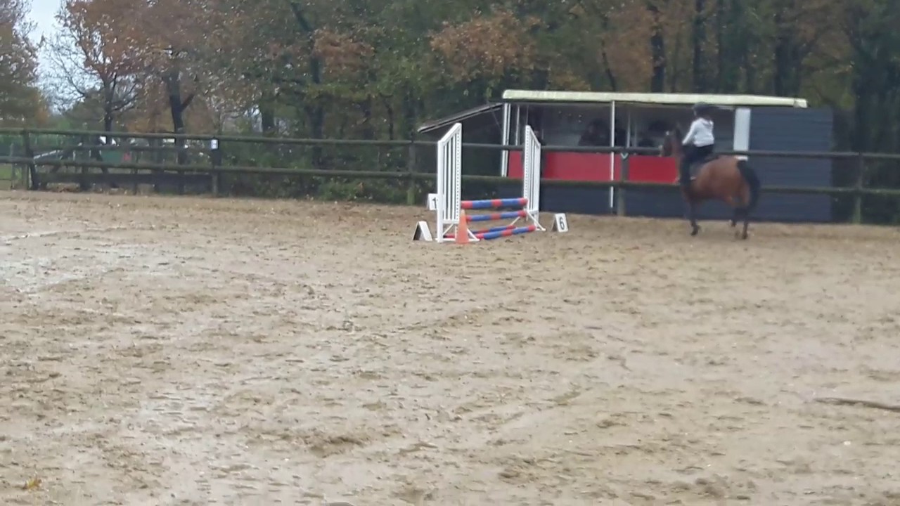 Concours (CSO) 60cm avec Galion 5ème place