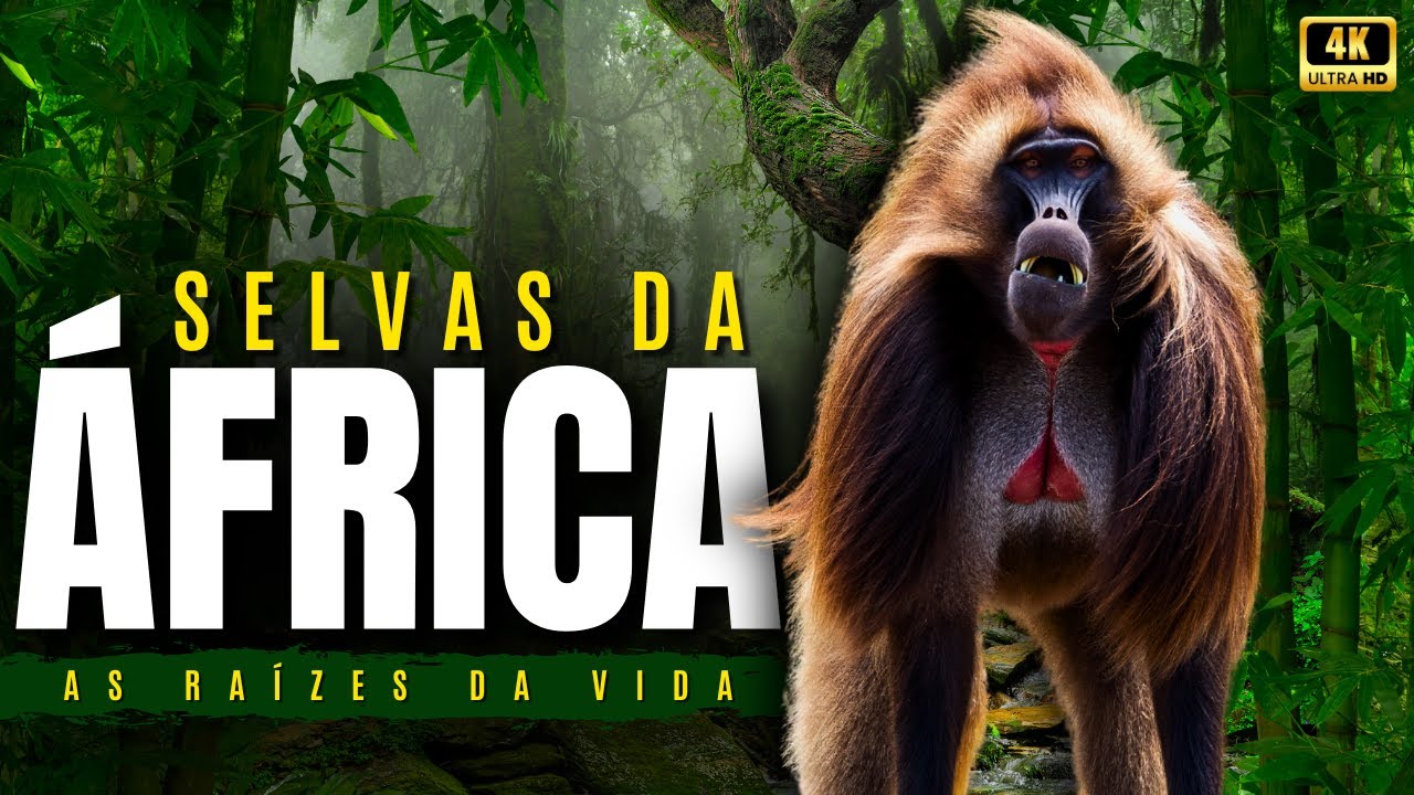 SELVAS AFRICANAS | Os Animais Mais Incríveis da África em um Documentário Inédito