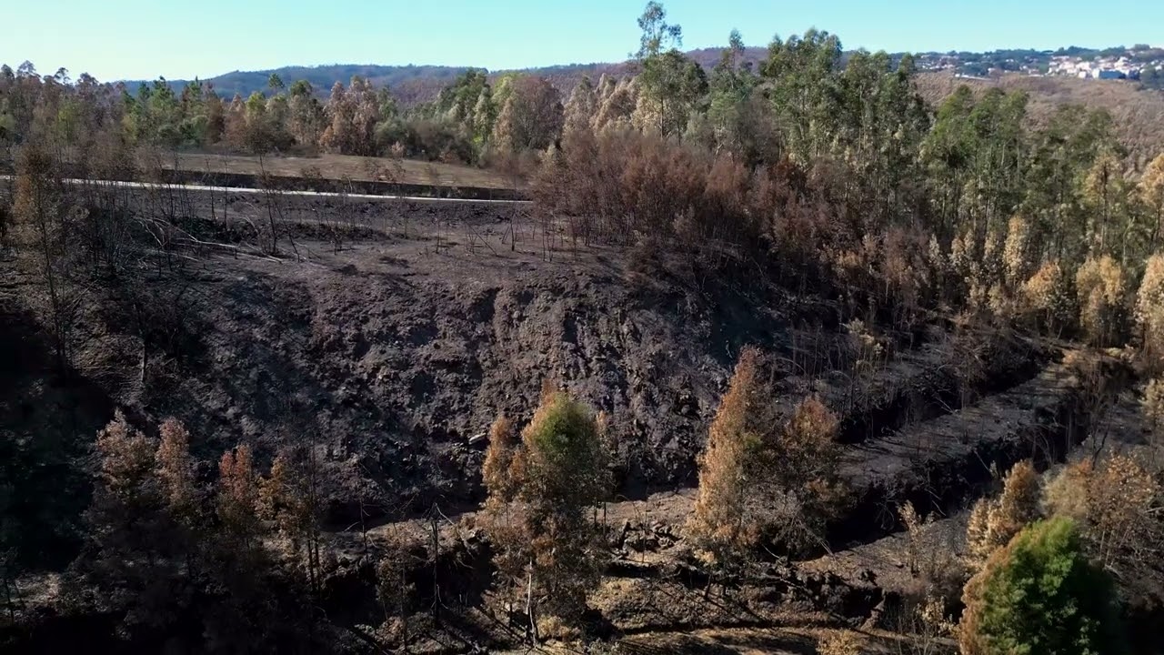 Terreno &agrave; venda em Cedrim, Sever do Vouga