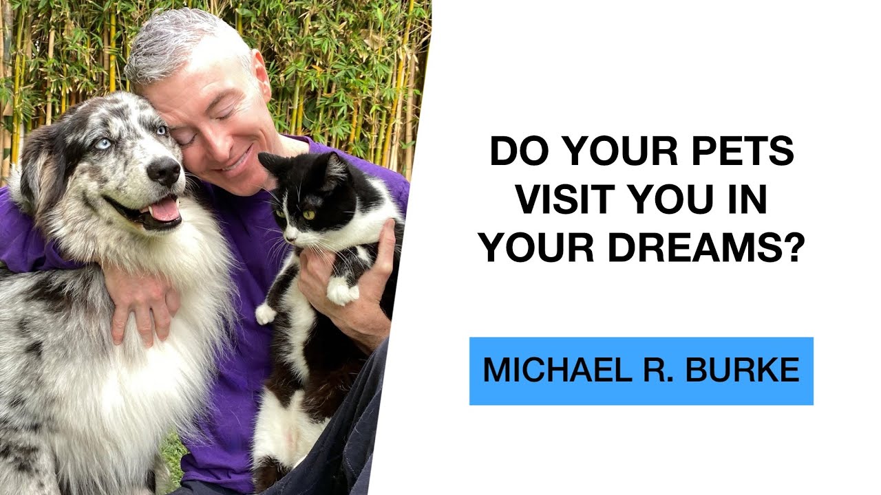 Do Your Pets Visit You In Your Dreams? Understanding Spiritual Connections with Animals