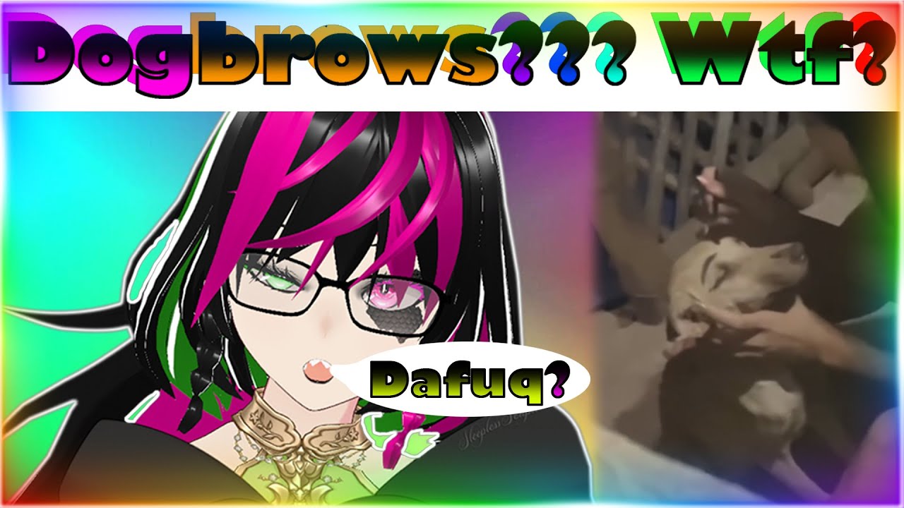 Eyebrows on The Dog? | Reddit Reactions r/funnyvideos | Vtuber Reacts