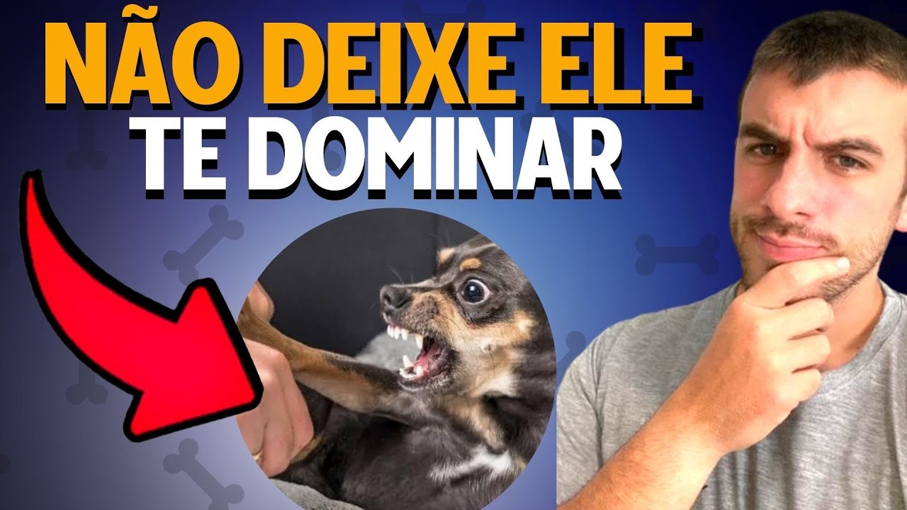 Teoria Da Domin&acirc;ncia Existe? (FALEI A VERDADE)