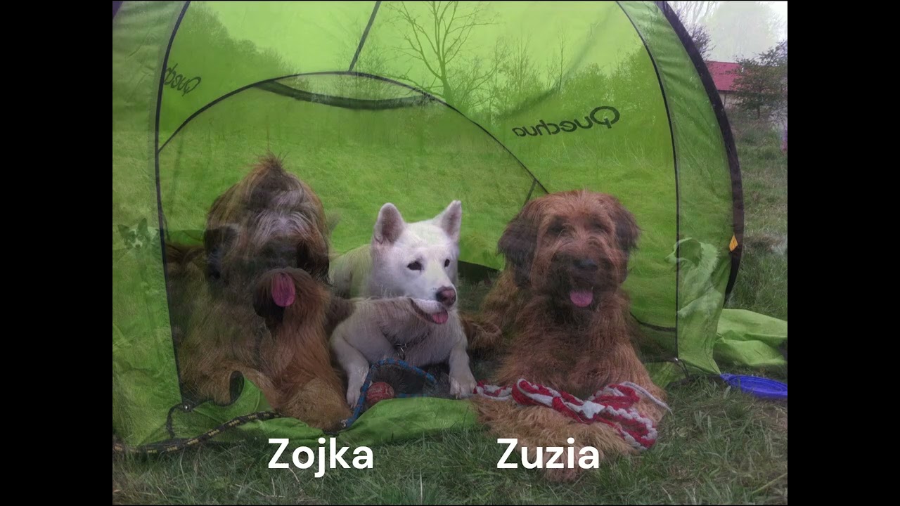 Zojka i przyjaciele