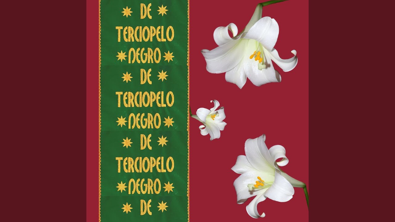 De terciopelo negro