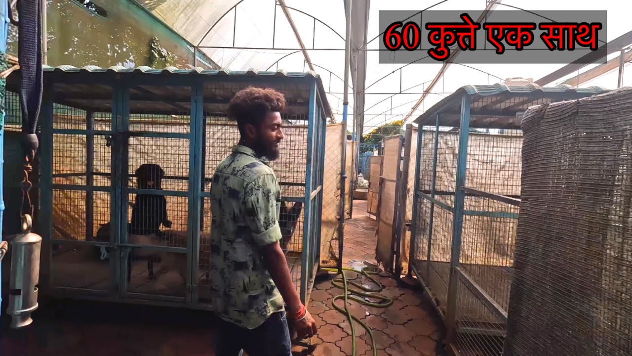 हैरान हो जाओगे आप यह Apple Kennel Ooty का देखकर 😳😳😳😳