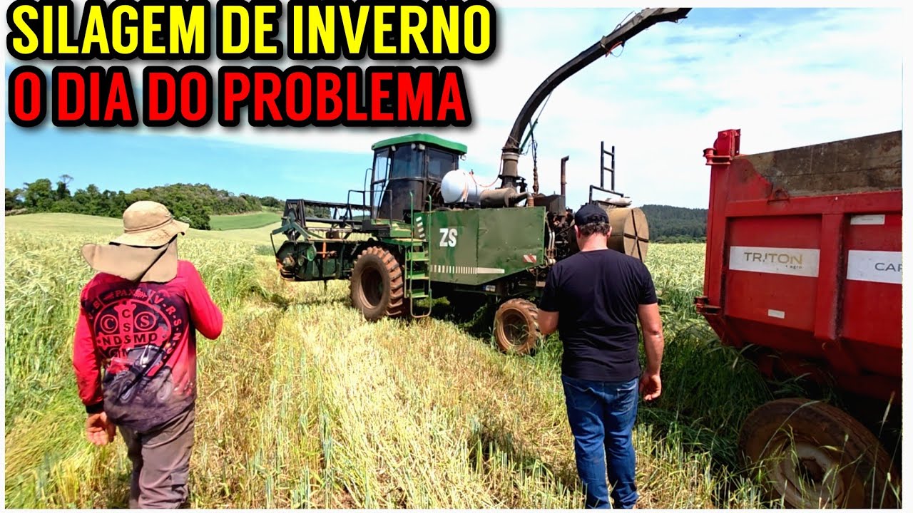 A FORRAGEIRA QUEBROU fazendo silagem de Triticale (Automotriz ZS vs CLAAS 870)