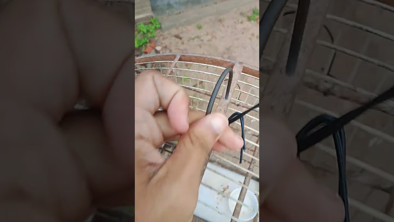 Recuperamos nossa nova contratação 🤩🤞