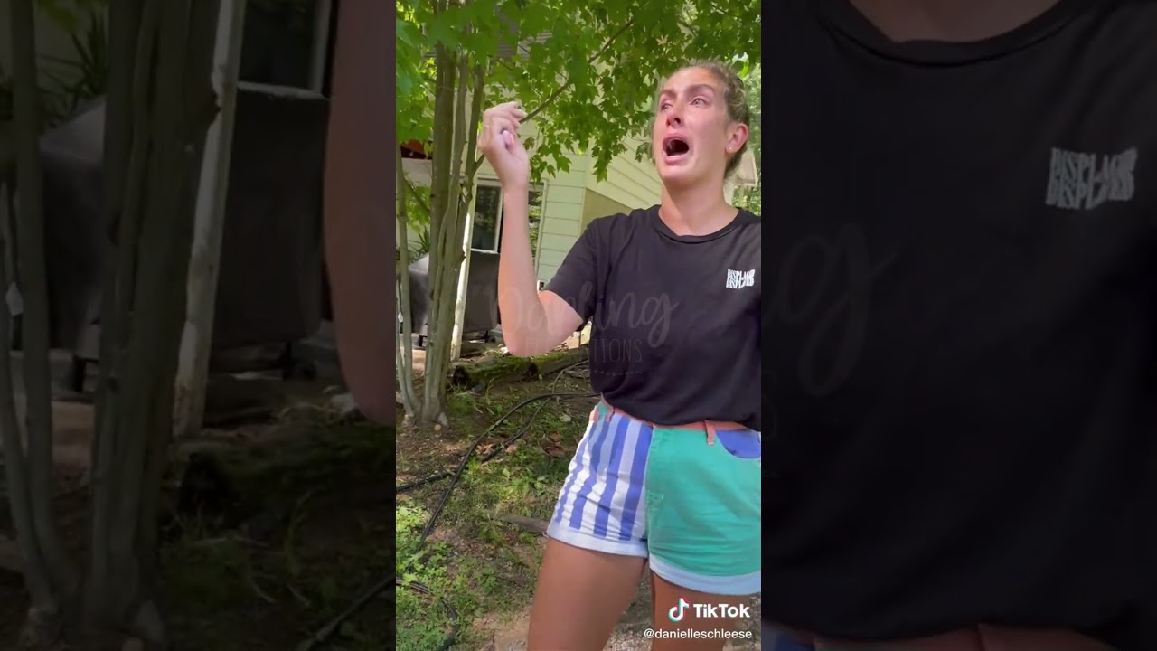Best Pregnancy Announcements Compilation