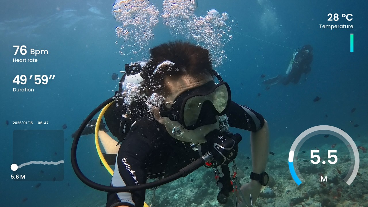 Dive 43 - Felicity Maldives - North Ari Atoll - Maaya Thila