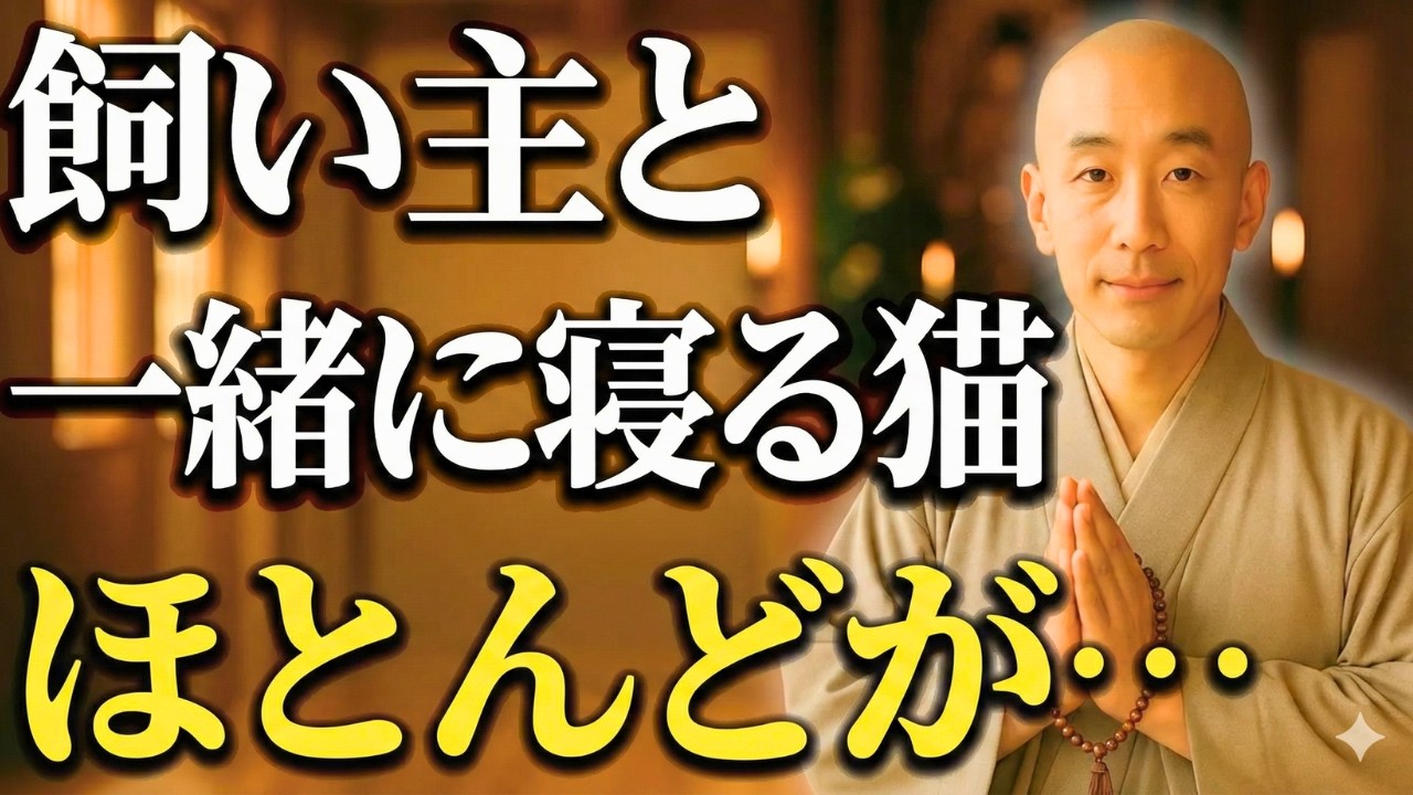 【猫の本音】なぜ、わざわざ隣に来るのか？言葉をもたぬ猫が、添い寝で伝えている「驚きのメッセージ」10選
