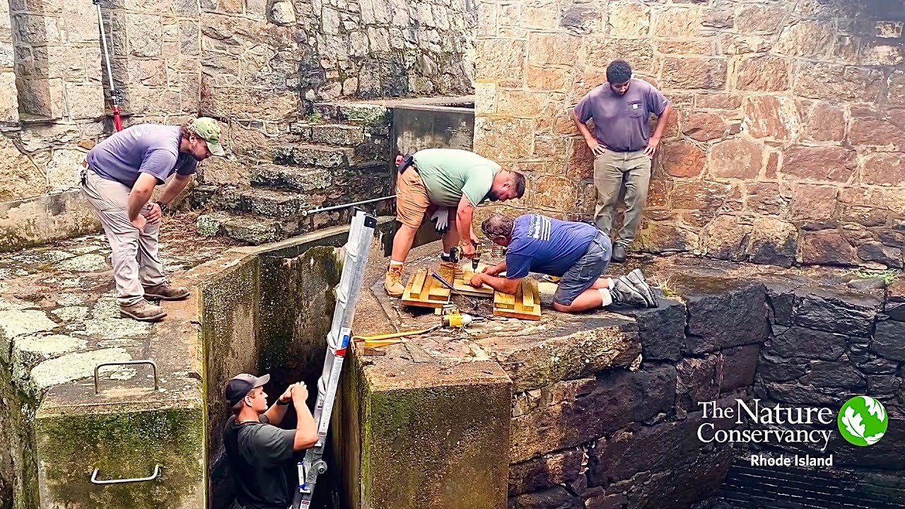 Re-engineering the Palisades Fish Ladder