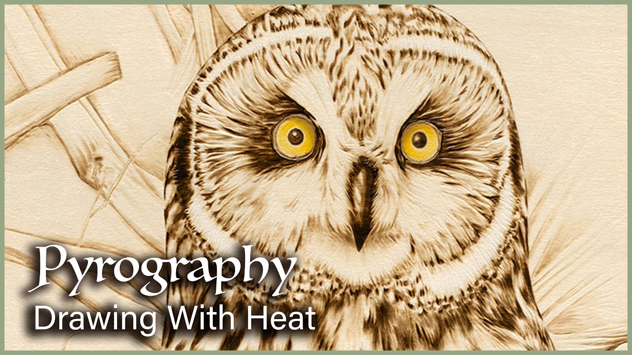 My Biggest & Most Detailed Owl Wood Burning | Pyrography Time-Lapse