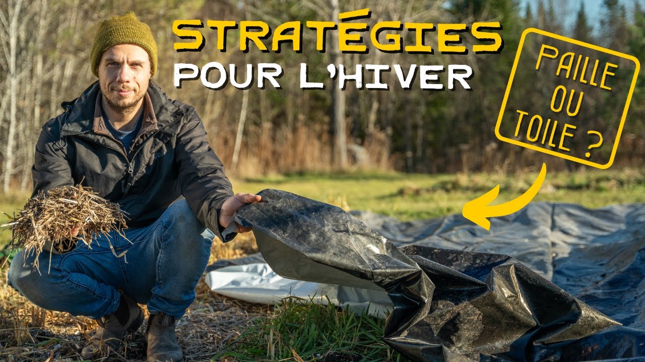 FERMER le potager pour L'HIVER : stratégies pour un SOL VIVANT ! 🌱🪱
