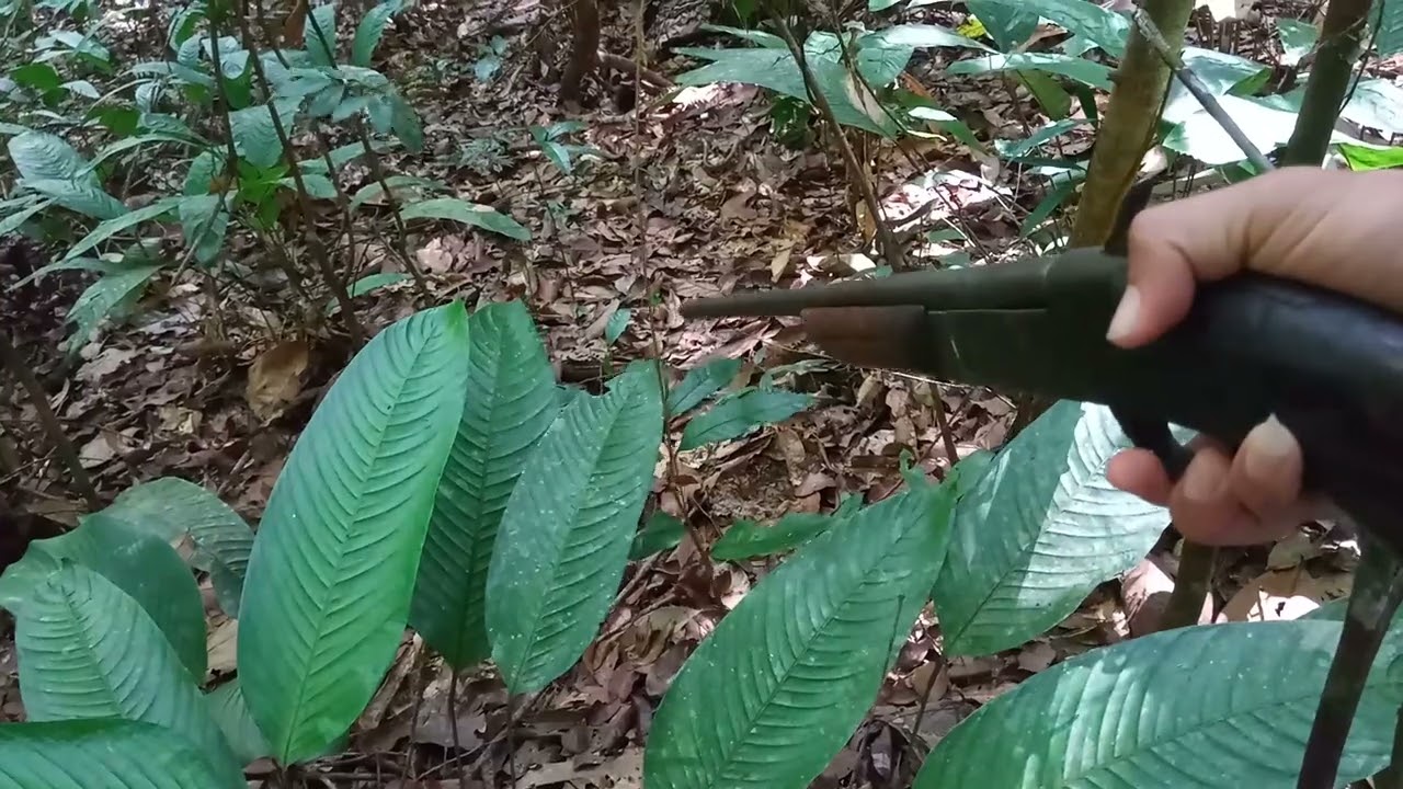 CAÇANDO DE VARRIDA