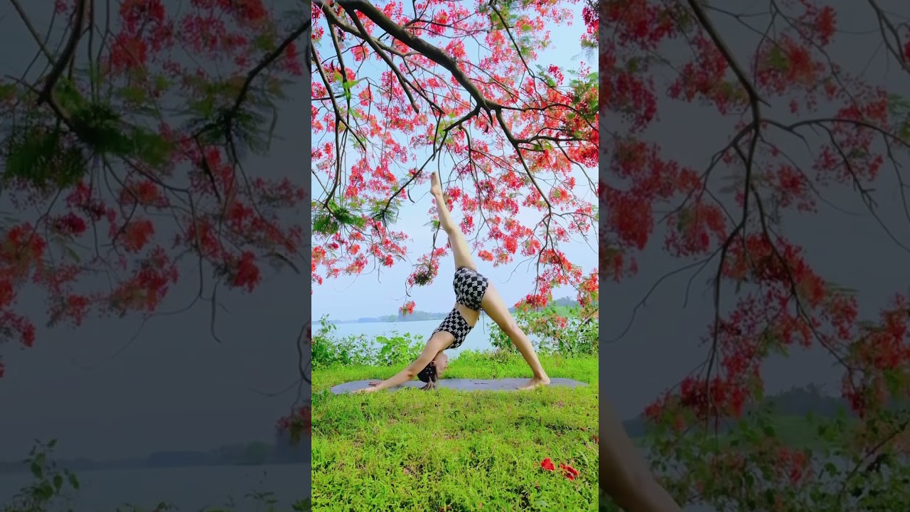 Thần thoại yoga flow dưới gốc hoa phượng