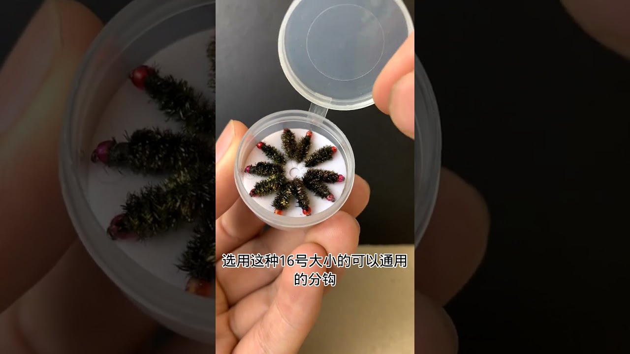 留80公分，这样白条马口的警惕性会降低，狂拉白条#路亚#路亚