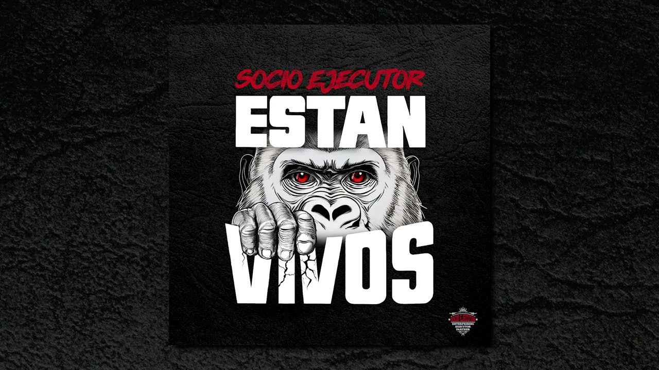 SOCIO EJECUTOR - 