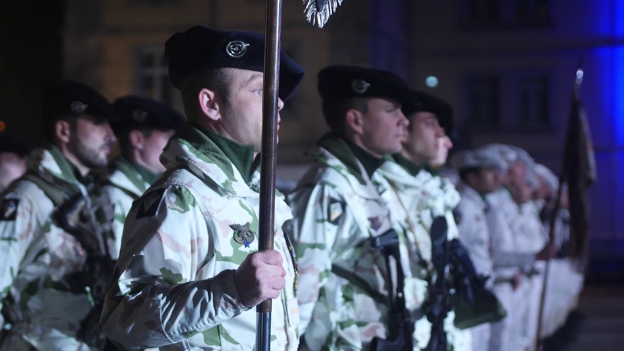 Cérémonie d'hommage aux commandos tombés au Mali
