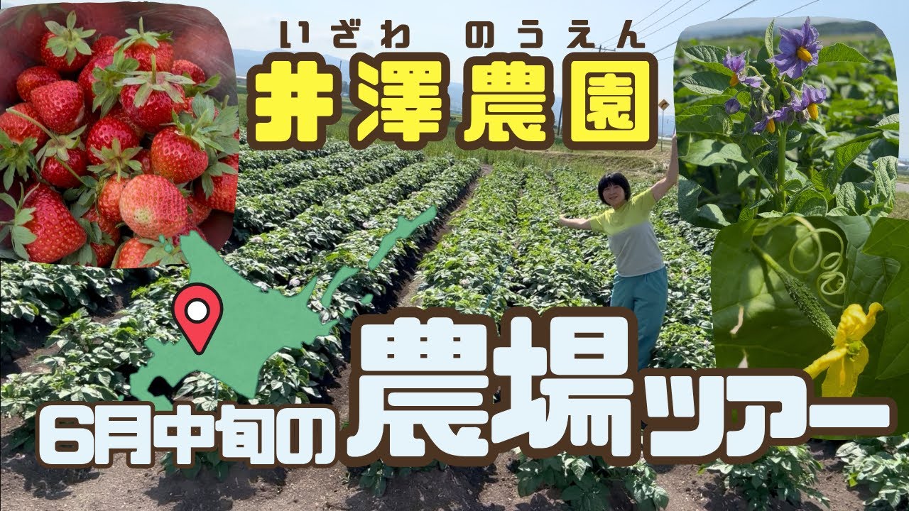 井澤農園　初夏の畑ツアー！野菜が全部植え終わり、生育状況をお伝えします。いらっしゃいませ〜！