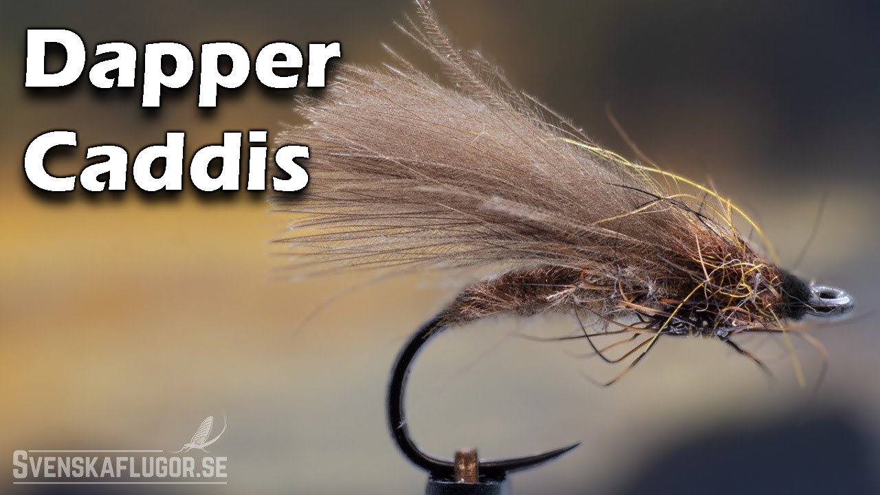 Dapper Caddis | Flugbindning | Svenskaflugor.se
