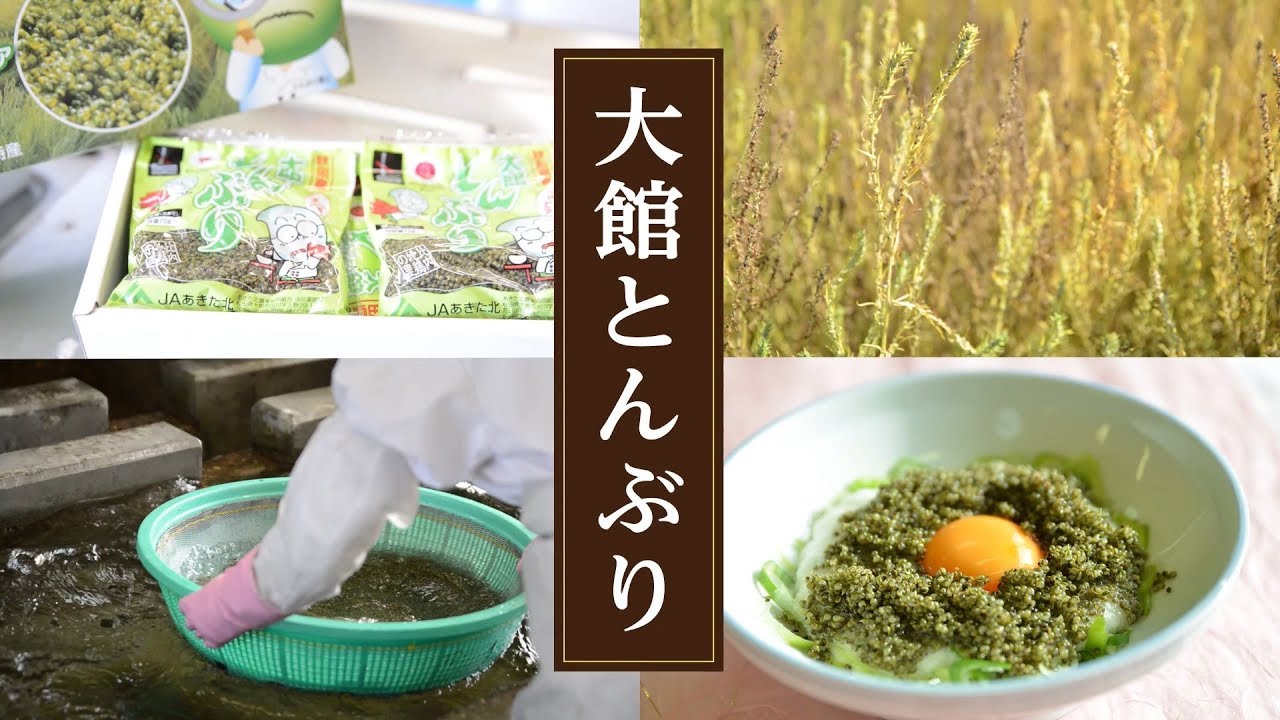 32 大館とんぶり