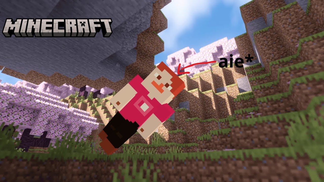 Minecraft mais quand je prend un dégât j'arrête la vidéo