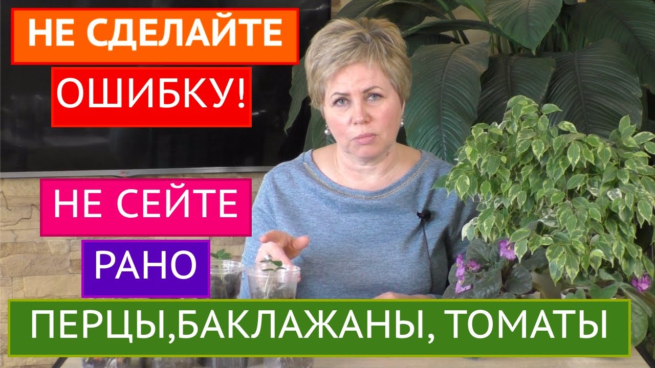 КОГДА САЖАТЬ НА РАССАДУ ТОМАТЫ, БАКЛАЖАНЫ И ПЕРЦЫ! РАССАДА 2021!