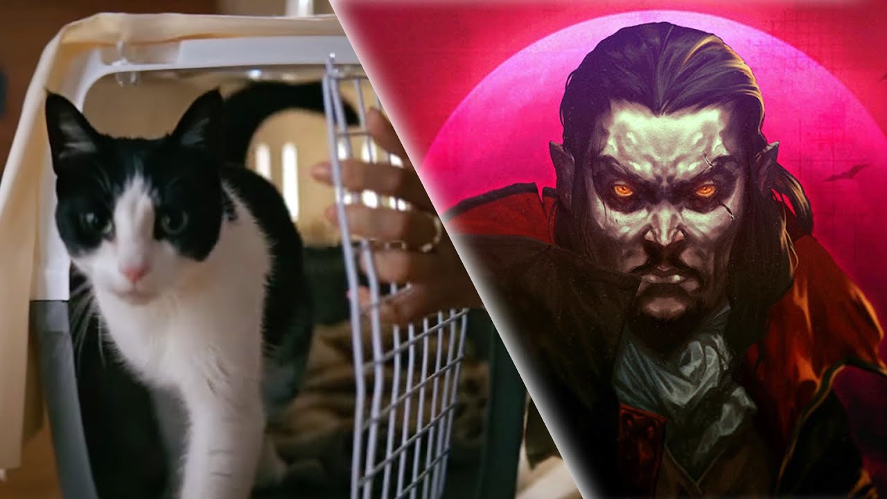 LIVE 🔴 Cats Protection CHARITY STREAM + Vampire Survivors!