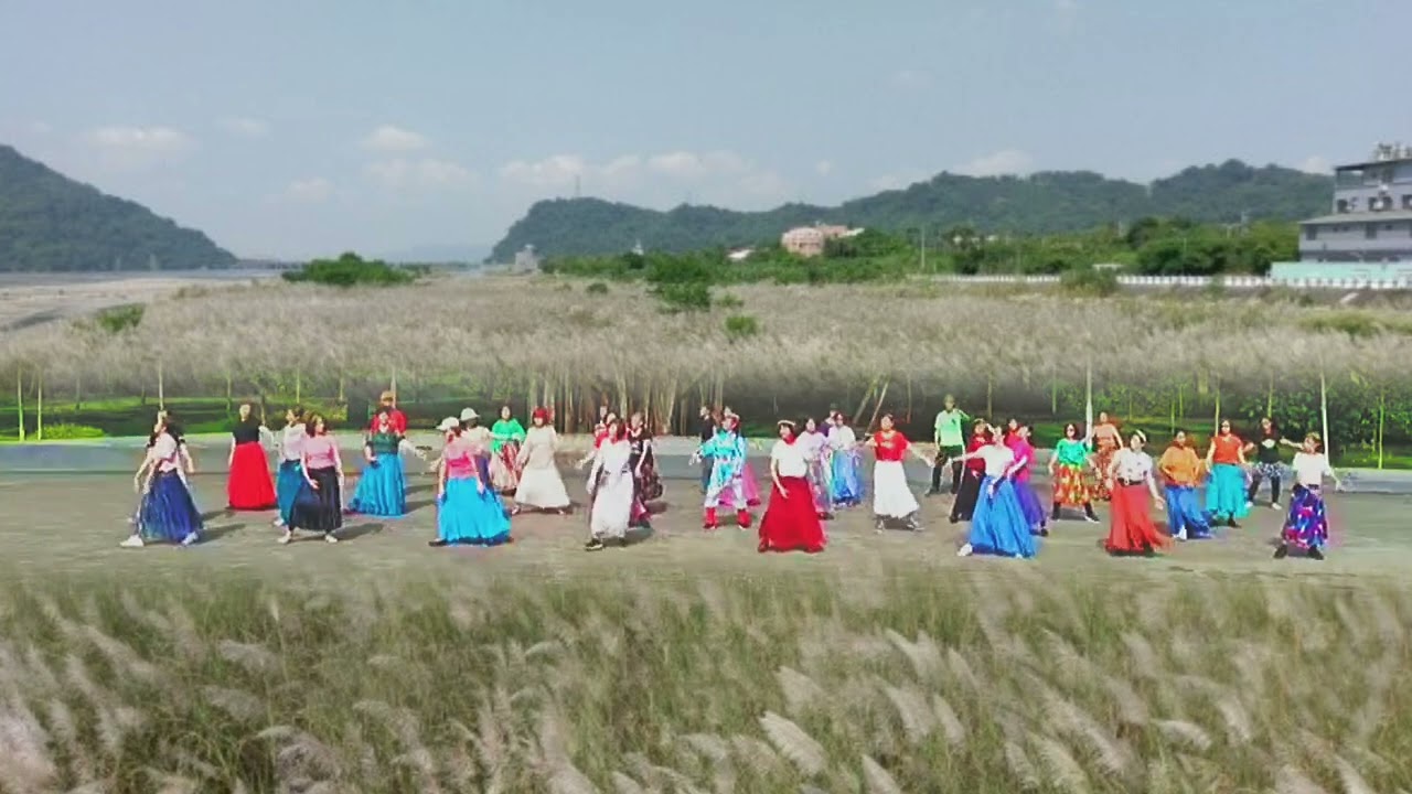 广场舞《芦花美》