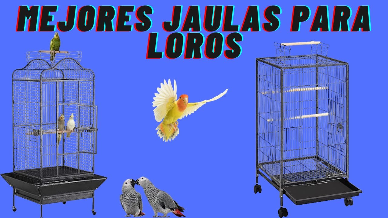 Jaulas para loros , Ninfas , Agapornis , Periquitos , las mejores jaulas 2024