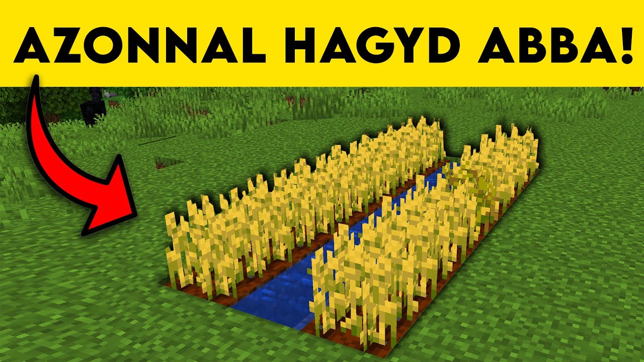 15+1 Dolog, amit AZONNAL Abba Kell Hagynod!