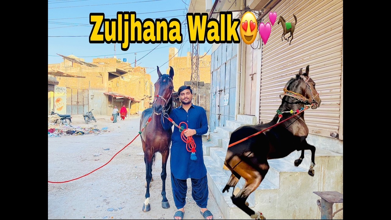 Friday Wlak | Ashal Badshah | Uqab Badshah | Mujtaba Mehdi Vlogs