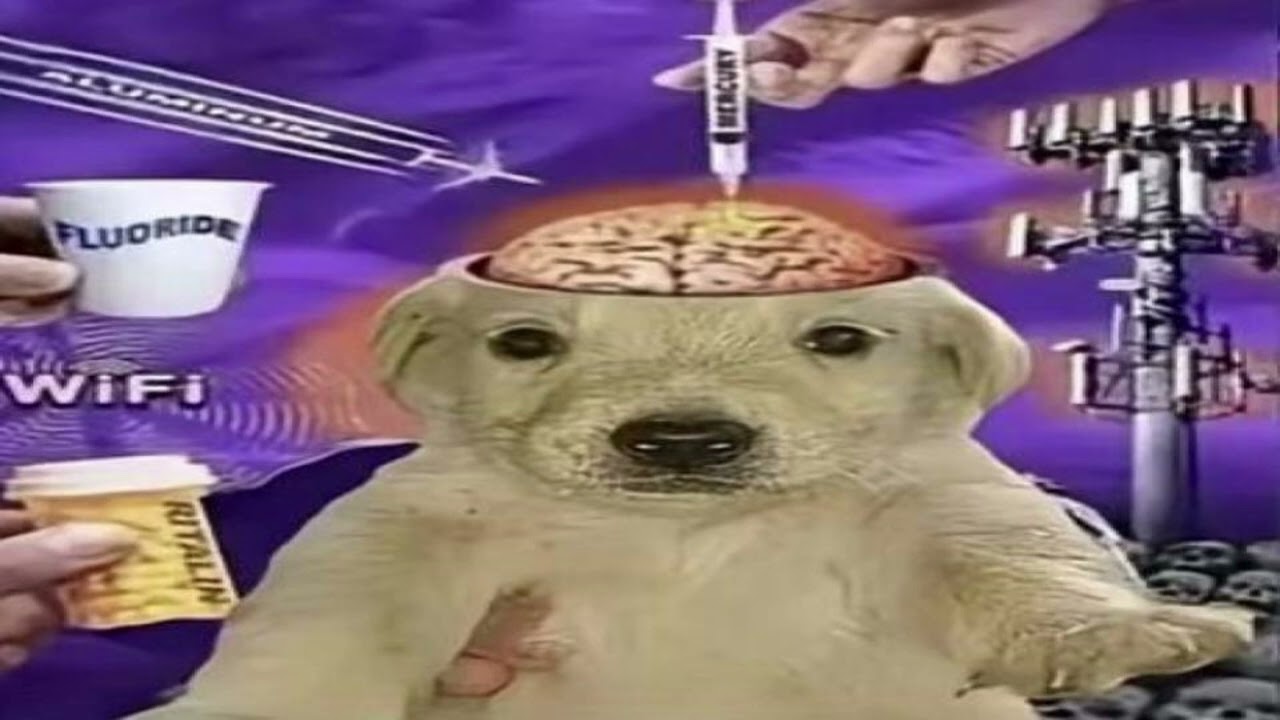 listen to this for free lobotomy