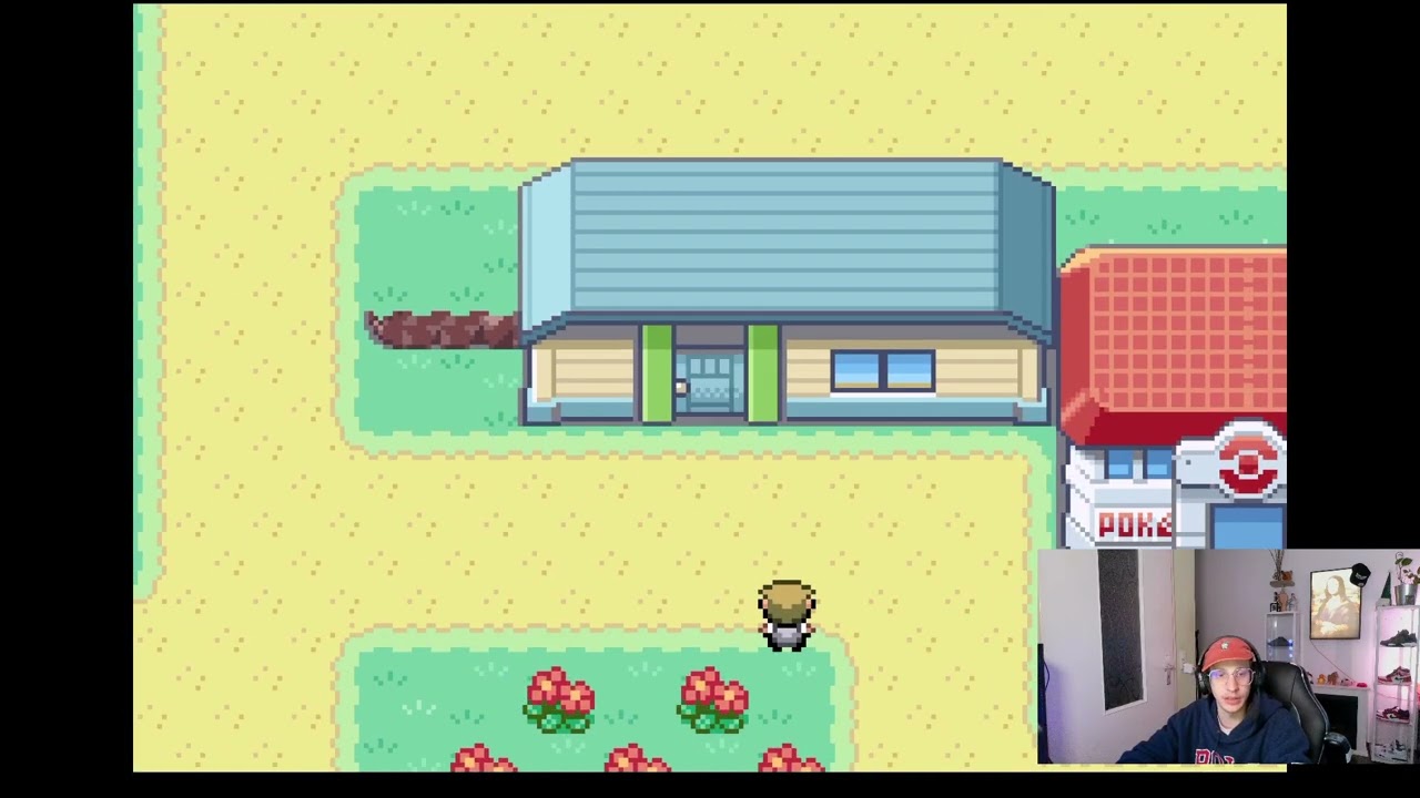 POKEMON BLATTGRÜNE