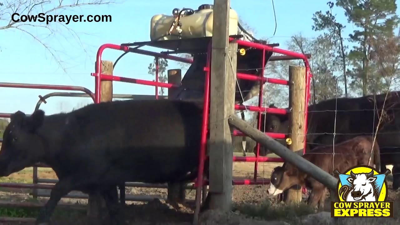 New Fly Spray System For Cattle
